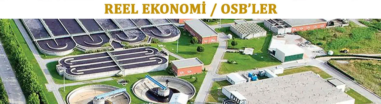 REEL EKONOMİ/ORGANİZE SANAYİ BÖLGELER (OSB'LER)
